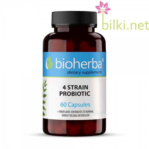 пробиотик, 4, probiotic, bioherba, online, лактобацилус булгарикус,