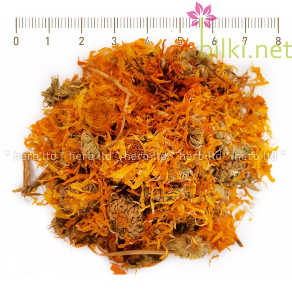 невен цвят, оранжев цвят, calendula officinalis
