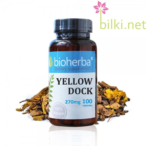 Yellow Dock, Curly Dock, лапад къдрав, лапад корен, биохерба