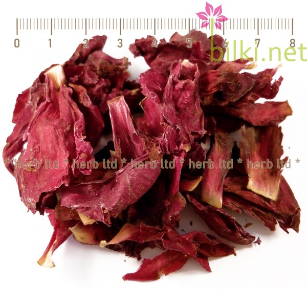червен божур билка, лечение с божур, цвят венчелистче, Paeonia peregrina Miller, червен божур приложение, червен божур чай, червен божур цена