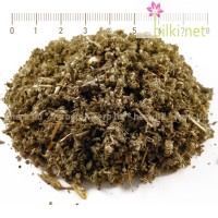 Салвия лист – Градински чай, при кашлица и възпалено гърло, Salvia officinalis