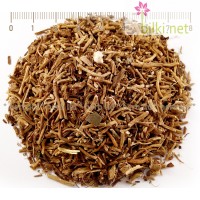 Иглика Лечебна корен - бронхо чай, отхрачващо, секретолитично, успокояващо, Primula veris L. 