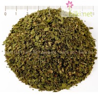 Магданоз лист – Мерудия, при възпаление и камъни в бъбреците, Petroscinum crispum Mill