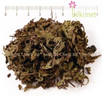 Ортосифон стрък рязан – Бъбречен чай, Orthosiphon stamineus