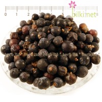 Хвойна плод - Синя, при възпаление на бъбреци и пикочен мехур, Juniperus communis