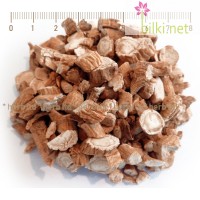 Женшен корен рязан - Бял, Panax Ginseng