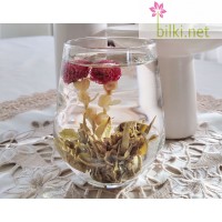 Цъфтящ Бял чай топчета, Camellia sinensis
