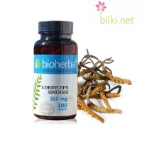 Кордицепс - лечебна гъба за сила и имунитет, Bioherba, 360 мг, 100 капсули