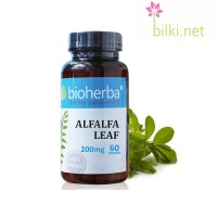 Алфалфа - Люцерна при анемия, Bioherba, 200 мг, 60 капс.