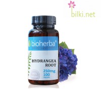 Хортензия корен за бъбреци, Bioherba, 250 мг, 100 капсули
