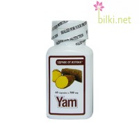 Екстракт от Китайски Ям, ТНТ-21, 500 мг, 60 табл.