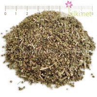 Сладък Пелин стрък рязан - детоксикация и при паразити, Artemisia annua