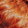 натурална къна за коса, оранжева коса, червена коса с къна, оранжева къна