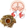 билки за оросяване на мозъка и капилярите, билков чай