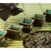 gun powder, green tea, chinesse tea, Camellia sinensis