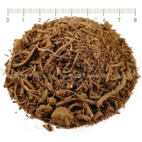 Валериана корен – Лечебна дилянка, Valeriana officinalis L.
