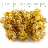Жълт смил цвят – Безсмъртниче, Helichrysum arenarium 