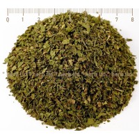 Магданоз лист – Мерудия, при възпаление и камъни в бъбреците, Petroscinum crispum Mill