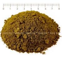 Шлемник Байкалски стрък на прах - за имунитет и високо кръвно, Scutellaria baicalensis