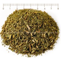 Ясен лист - противопаразитен чай, Fraxinus excelsior L.