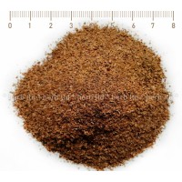 Какаови люспи - за ароматен и тонизиращ чай, Theobroma cacao