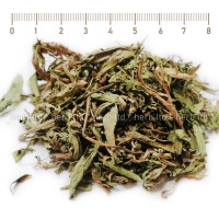 Стевия лист, Stevia Rebaudiana