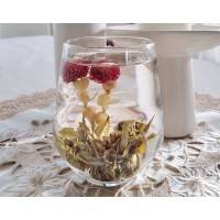 Цъфтящ Бял чай - топчета, Camellia sinensis, индивидуално вакуумирани