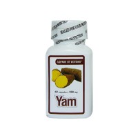 Екстракт от Китайски Ям, ТНТ-21, 500 мг, 60 табл.