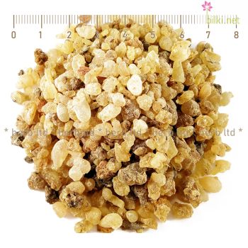 Boswellia serrata, Натурален тамян, лечение с тамян, индийски тамян цена