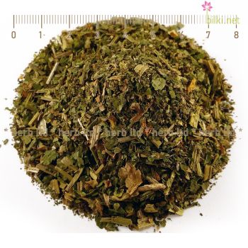 змийско мляко, chelidonium majus l., змийско мляко ползи, Змийско мляко кожа, 