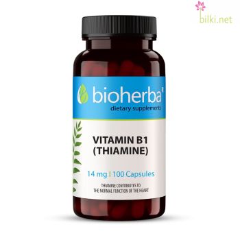 витамин в1, тиамин, vitamin b1, thiamin