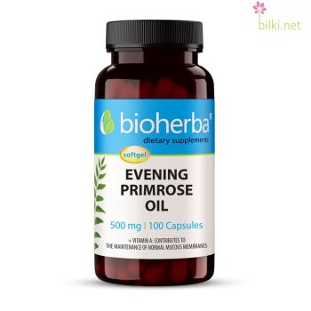 evening primrose, oil, вечерна иглика масло, вечерна иглика