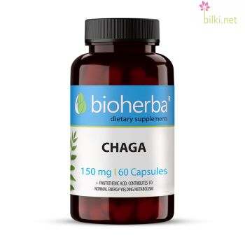 full spectrum, chaga  mushroom, чага гъба, хранителна добавка, биохерба, капсули