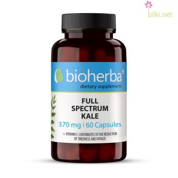 FULL SPECTRUM KALE / КЕЙЛ 60 КАПСУЛИ   