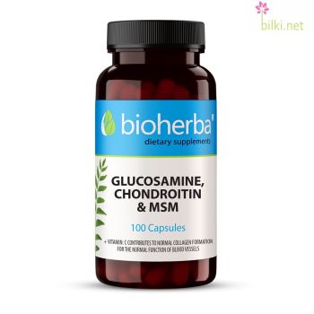 glucosamine, chondroitin,msm,глюкозамин