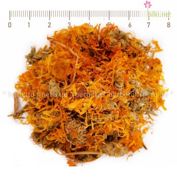 невен цвят, оранжев цвят, calendula officinalis