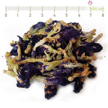 клитория тернатея, clitoria ternatea, син чай, пеперуден чай, butterfly pea tea