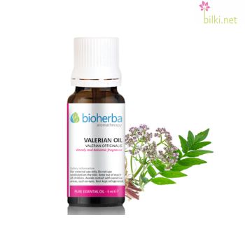 масло от валериана, валериана, valerian officinalis root