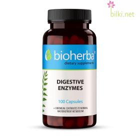 digestive enzymes, храносмилателни ензими, мазнини