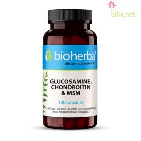 glucosamine, chondroitin,msm,глюкозамин