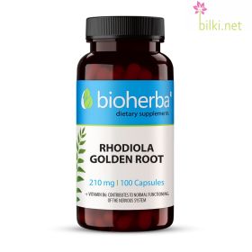 rhodiola, златен корен, адаптоген, Златовръх