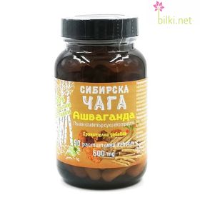 сибирска чага ашваганда, verde vita, chaga, siberian chaga, ashwagandha, чага, сибирска чага, имунитет, кръвна захар, чага при диабет, чага цена, чага стомах, чага храносмилане, чага имунитет, гъба чага капсули, verde vita