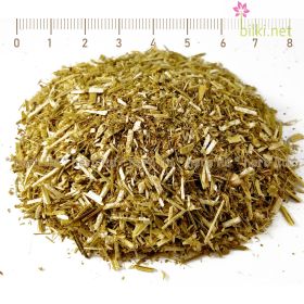 комунига жълта, melilotus officinalis, комунига стрък, комунига успокояващо