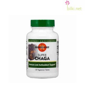 чага, гъба, супер, super, chaga, mushroom wisdom, чага капсули